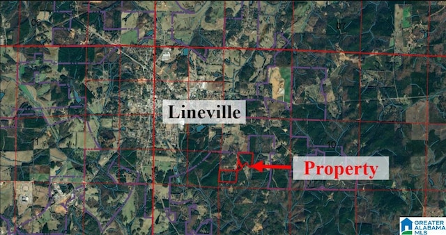 Listing photo 2 for 0 Bradford St Unit 0, Lineville AL 36266