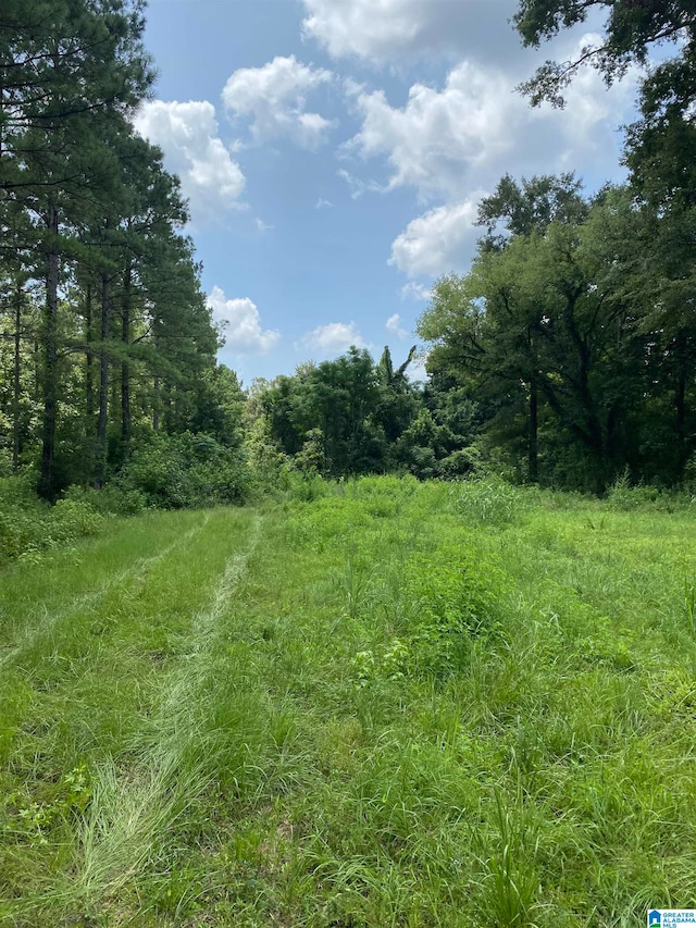 Preserve Dr Unit 106, Selma, AL 36701