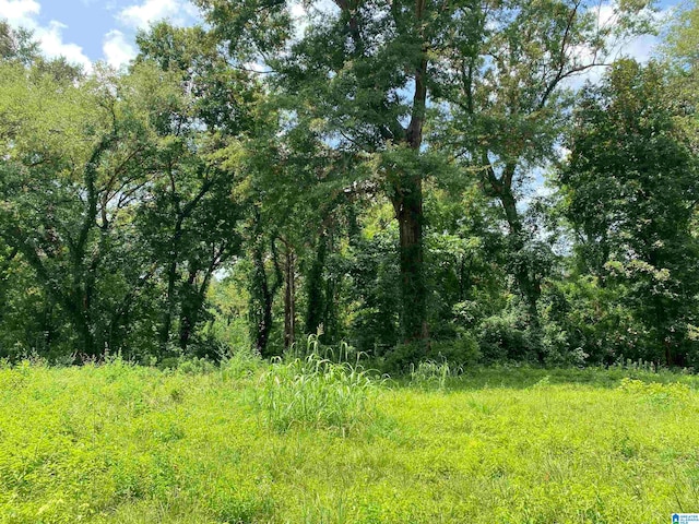 Preserve Dr Unit 106, Selma, AL 36701