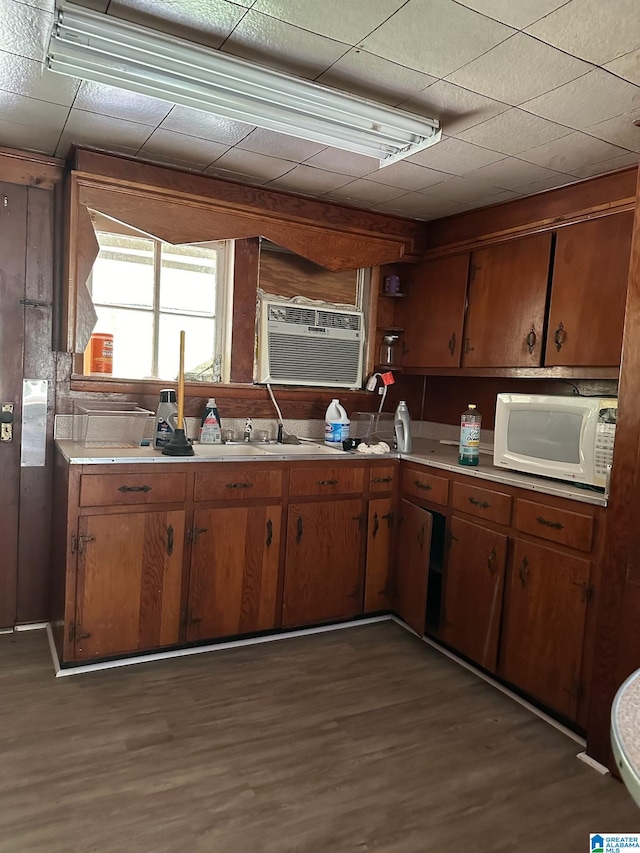 kitchen with dark hardwood / wood-style floors and sink