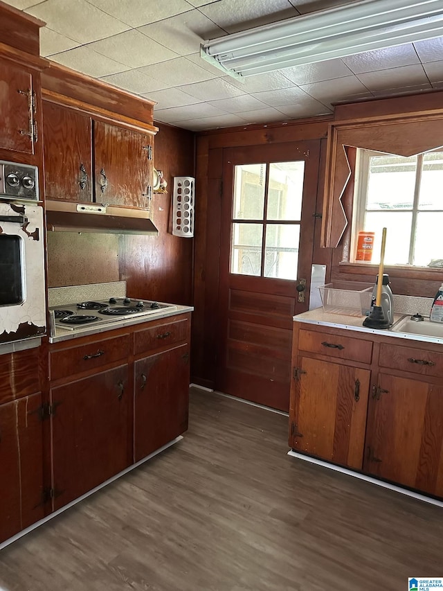 kitchen featuring wall chimney exhaust hood, wood walls, oven, electric cooktop, and dark hardwood / wood-style flooring