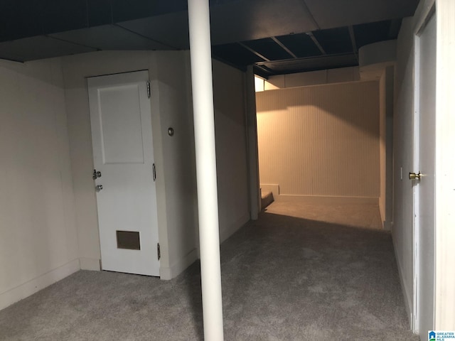 basement featuring carpet floors