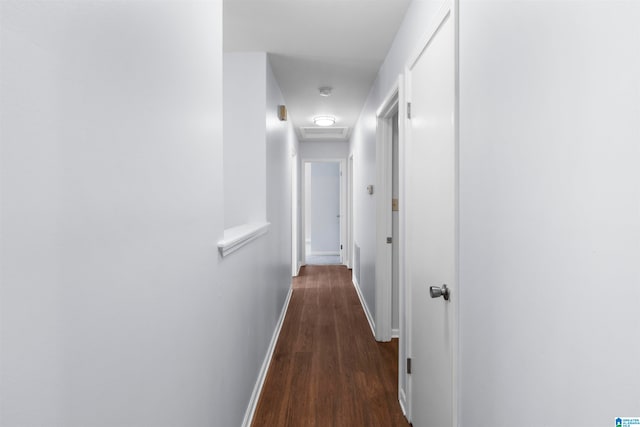 hallway featuring dark wood-type flooring