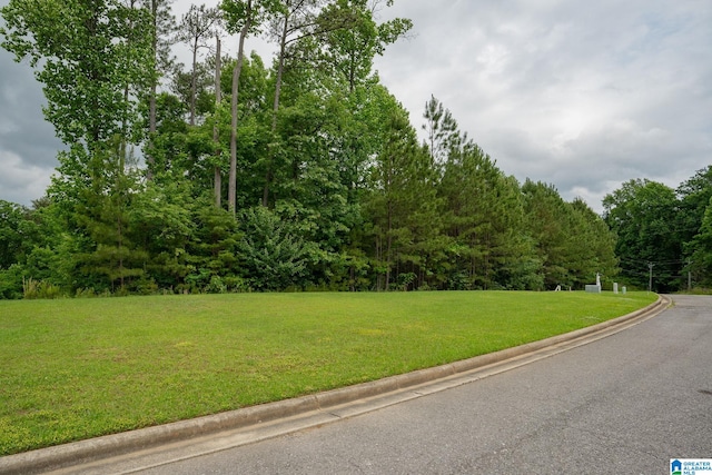 Listing photo 3 for 1616 Chateau Crest Ln Lot 2, Vestavia Hills AL 35216