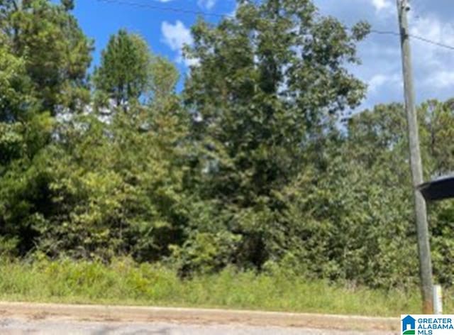 Listing photo 3 for LOT20 Stonegate Cir Unit 20, Lincoln AL 35096