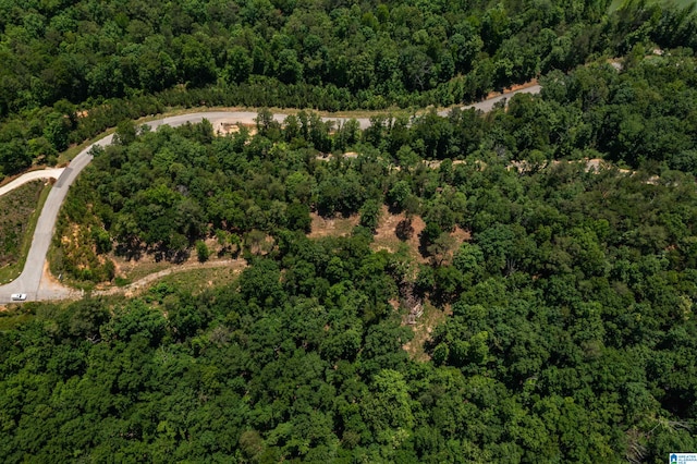 2112 Lindsay Ln Unit 20A, Pelham, AL 35124