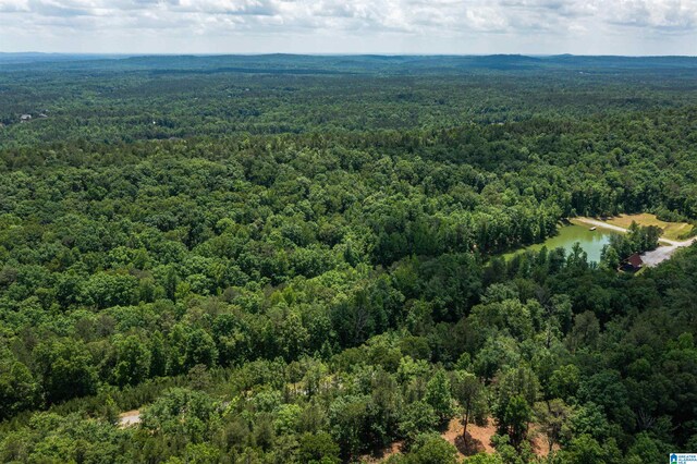 2112 Lindsay Ln Unit 20A, Pelham, AL 35124