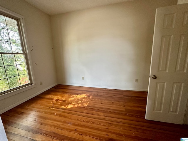 spare room featuring hardwood / wood-style flooring