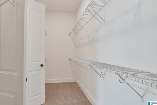 spacious closet featuring light carpet