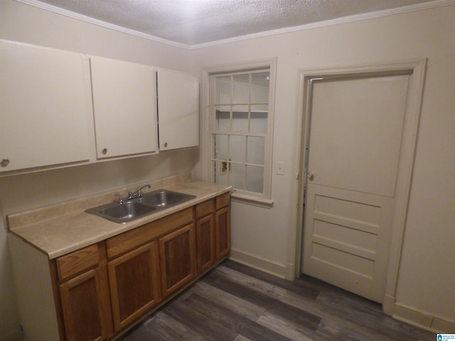 kitchen featuring sink, ornamental molding, a textured ceiling, and dark hardwood / wood-style floors
