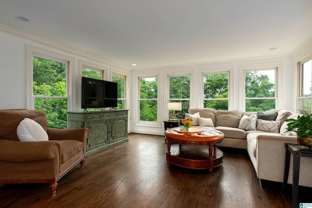 living room featuring crown molding and dark hardwood / wood-style floors