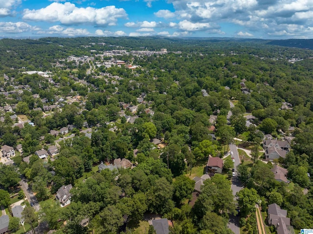 view of bird's eye view