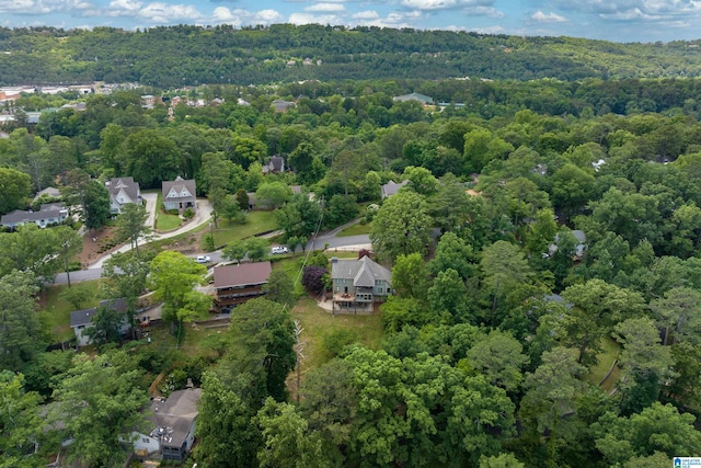 view of bird's eye view