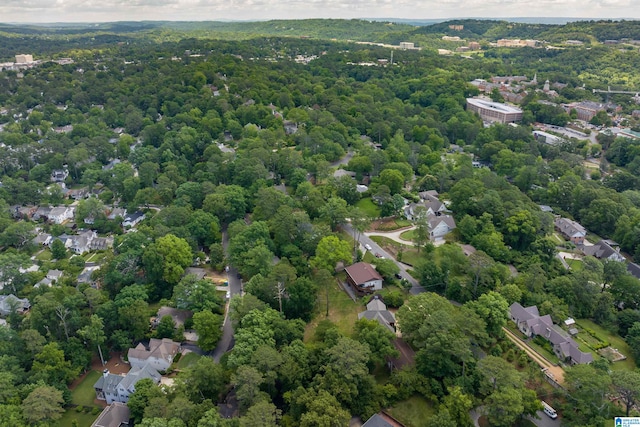 view of bird's eye view