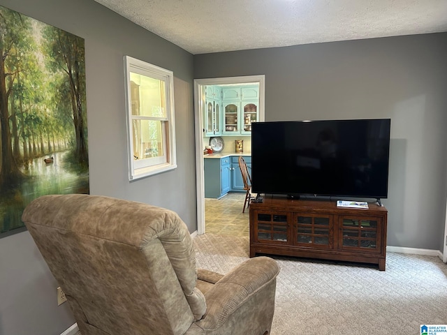 carpeted living room with a textured ceiling