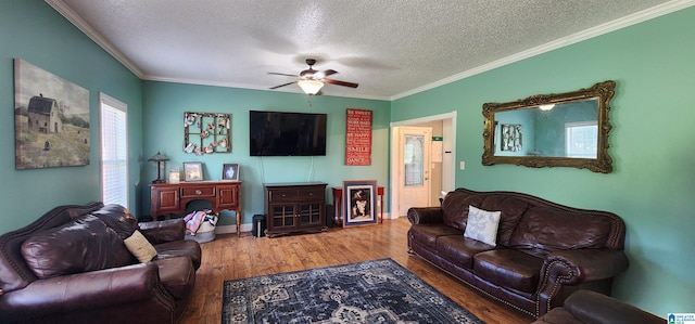 living room featuring crown molding, a textured ceiling, ceiling fan, and hardwood / wood-style floors