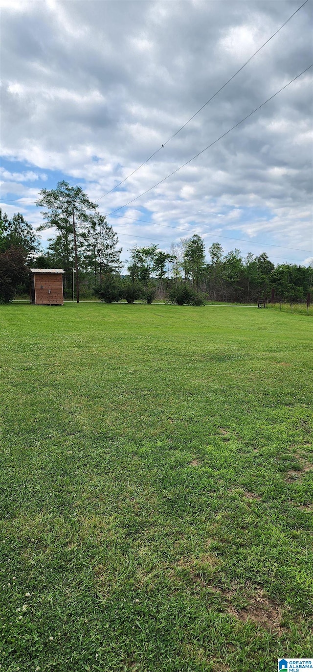 view of yard featuring a storage unit