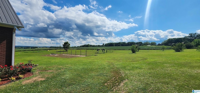 view of yard with a rural view