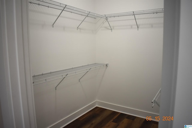 walk in closet with wood-type flooring