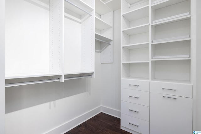 spacious closet with dark hardwood / wood-style flooring