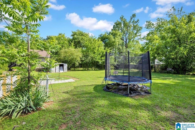 view of yard featuring an outdoor structure and a trampoline