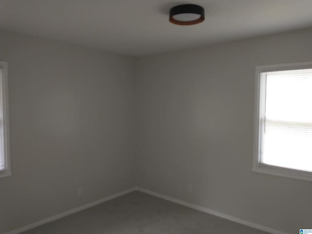 spare room featuring a wealth of natural light and carpet flooring