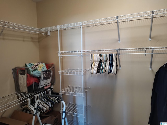 view of spacious closet