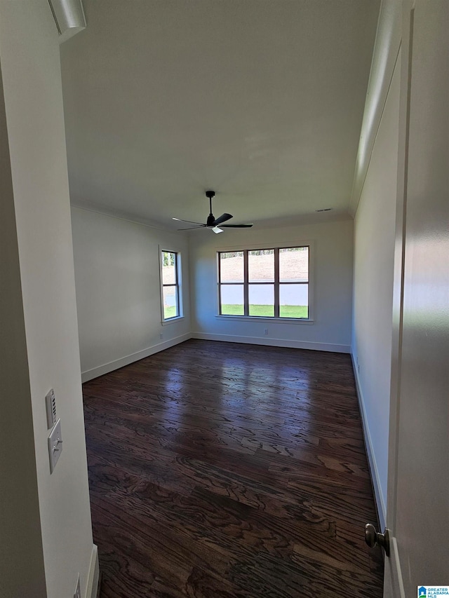 spare room featuring ceiling fan and dark wood-type flooring