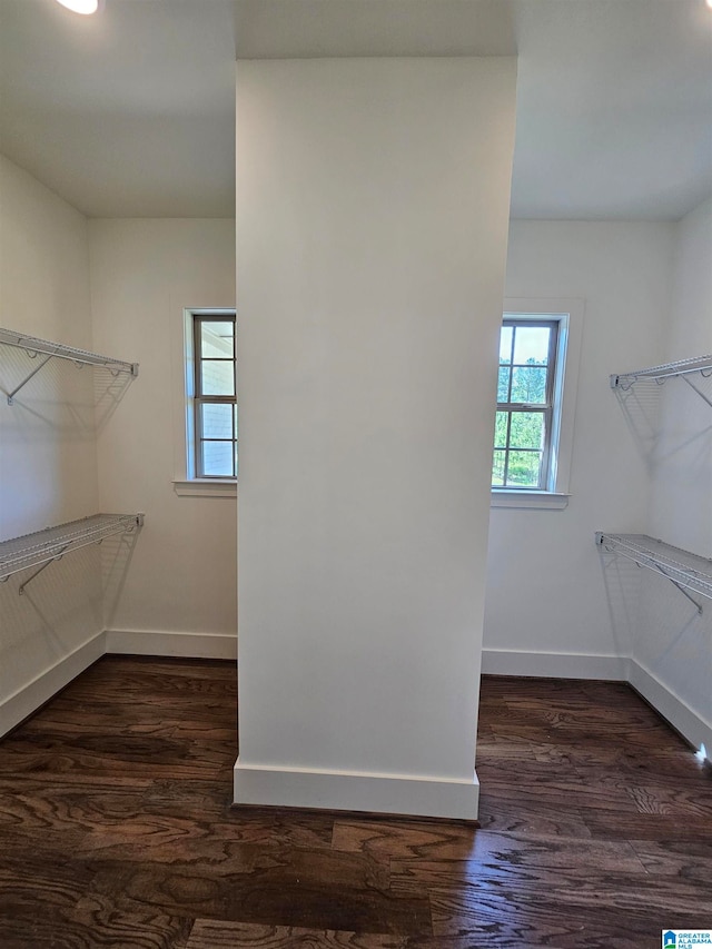 spacious closet featuring dark wood-type flooring