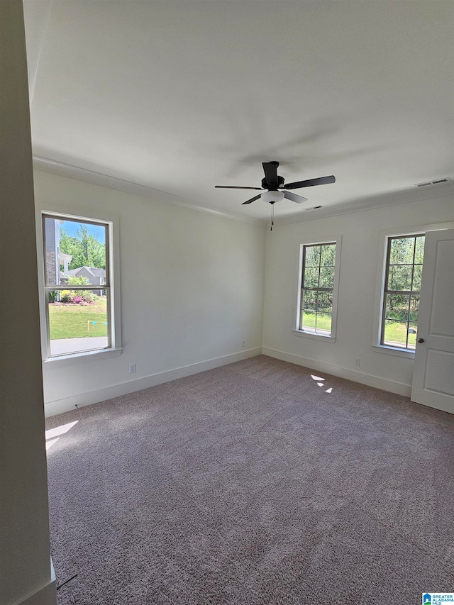 empty room with crown molding, carpet, and ceiling fan