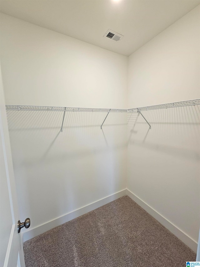 walk in closet featuring carpet
