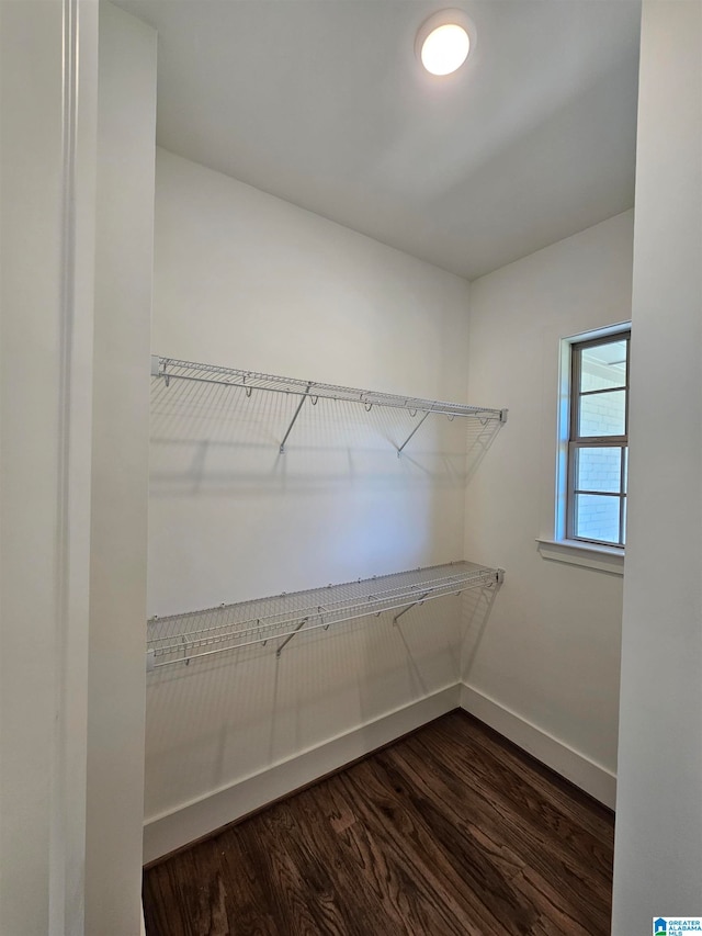 spacious closet with hardwood / wood-style flooring