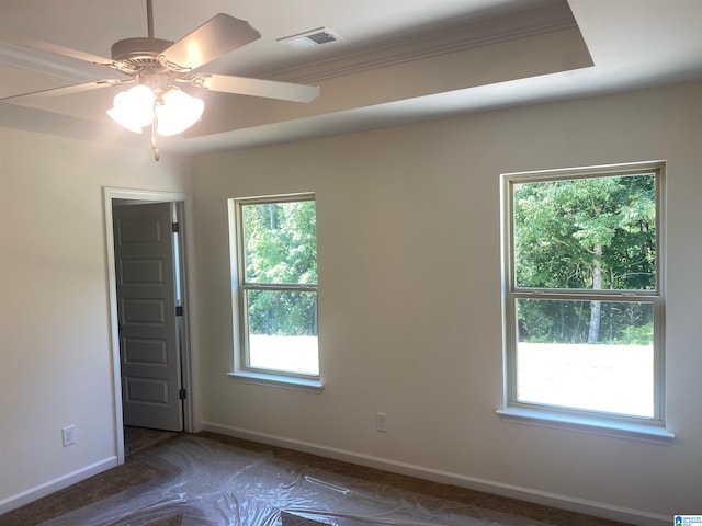 spare room featuring a tray ceiling, a wealth of natural light, crown molding, and ceiling fan