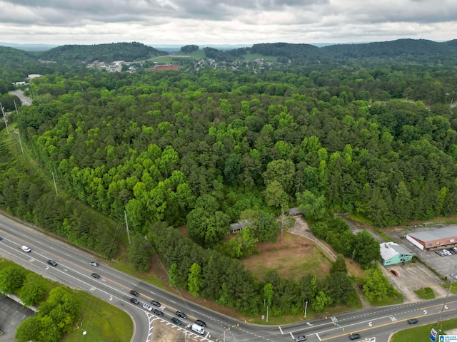 view of birds eye view of property