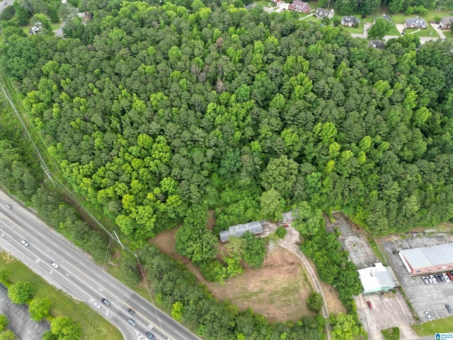 view of bird's eye view