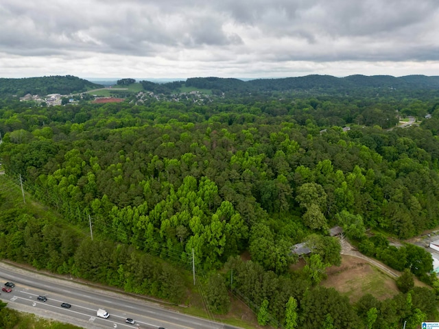 view of drone / aerial view