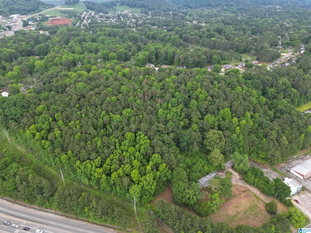 view of bird's eye view