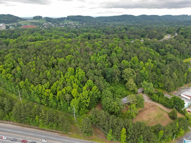 view of bird's eye view