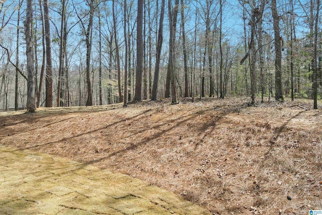 8611 Shady Trl, Helena, AL 35022 - view of wooded area