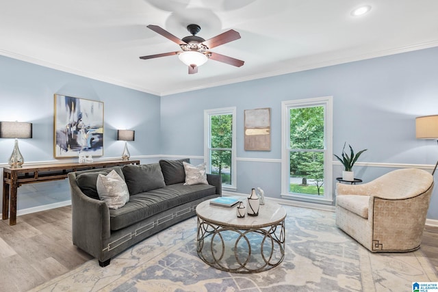 living room featuring crown molding, ceiling fan, and light hardwood / wood-style flooring