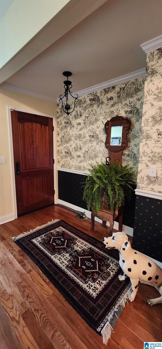 interior space featuring ornamental molding and dark wood-type flooring