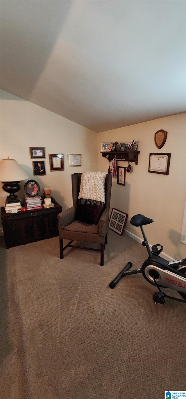 workout area featuring carpet flooring and vaulted ceiling