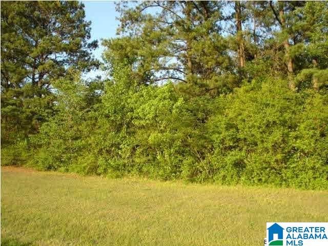 Rouse Rd Acreage, Unit Acreage, Warrior AL, 35180 land for sale