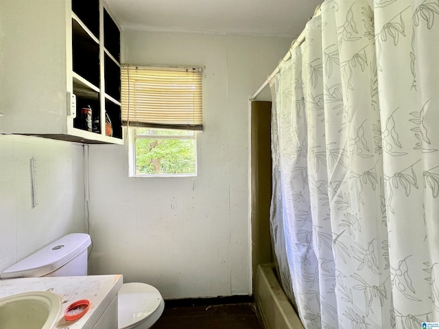 full bathroom featuring vanity, shower / bath combination with curtain, and toilet