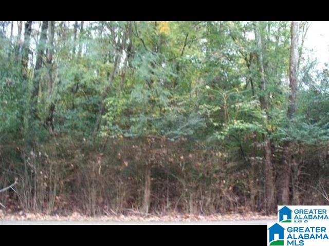 1025 Stoudemire Ave Unit 1025, Birmingham AL, 35217 land for sale