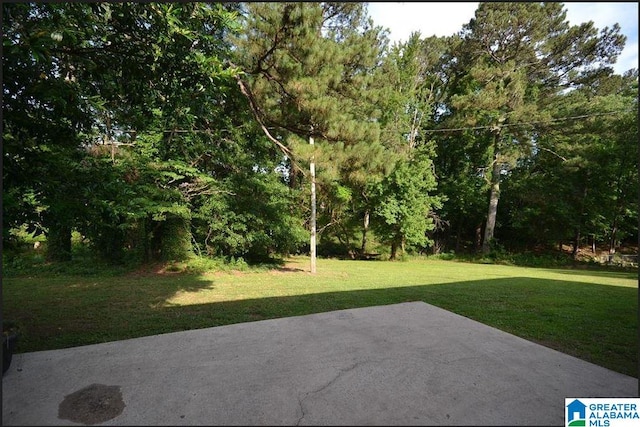 view of yard featuring a patio area