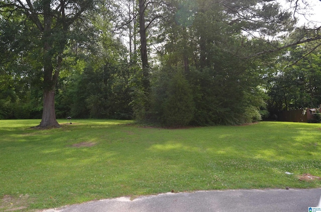 0 Leslie Ln, Anniston AL, 36207 land for sale