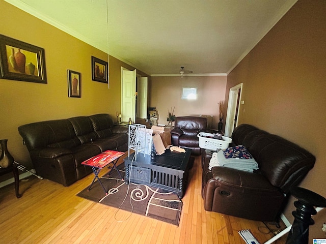 living room featuring crown molding and light hardwood / wood-style floors