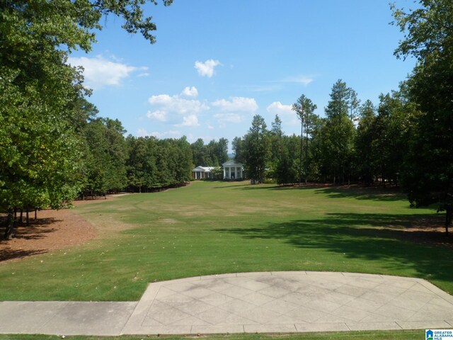 view of home's community with a yard