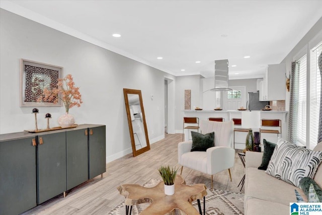 living room with light wood-type flooring and ornamental molding